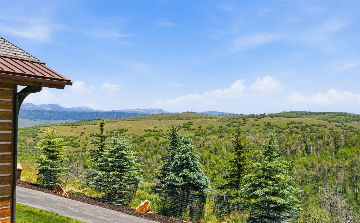 Wolf Creek Ranch community and landscape